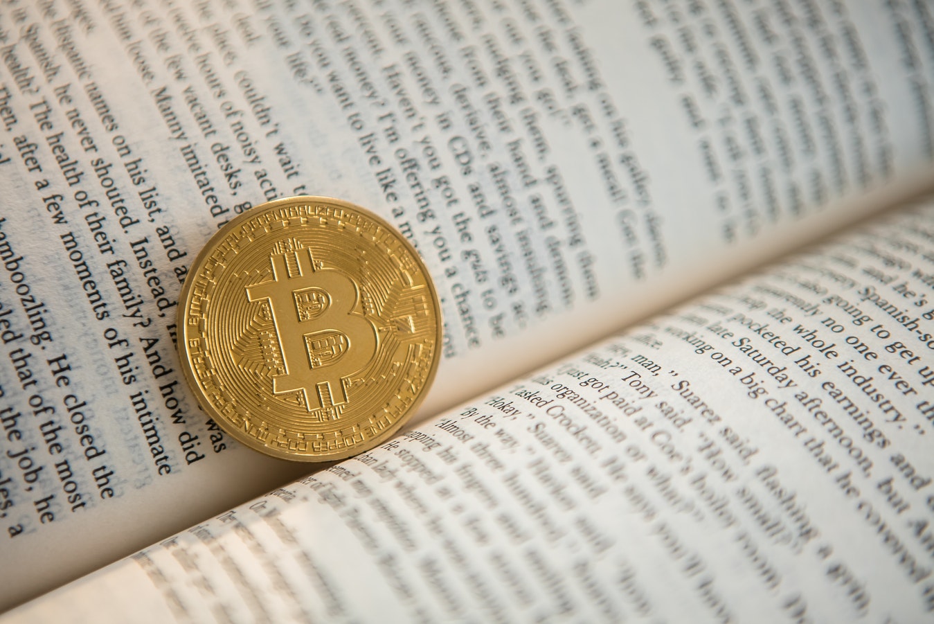 Bitcoin Book Published By 11 year-old student