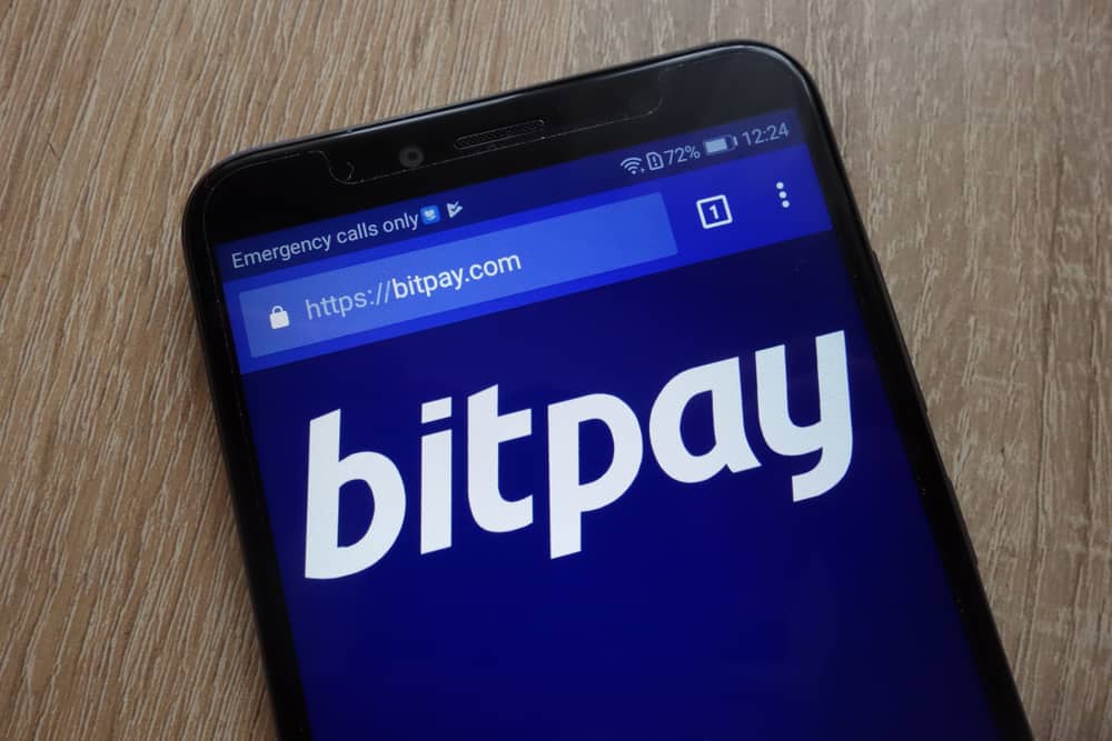 IN 2018, BITPAY PROCESSED A RECORD AMOUNT OF CRYPTO-TRANSFERS (MORE THAN $1 BILLION)