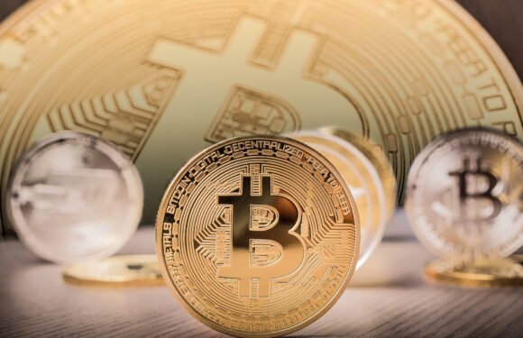 Senator Cynthia Lummis Explains Why Bitcoin Will Stay Here