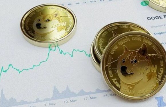 Dogecoin Secures Support While Shiba Inu Extends Struggle