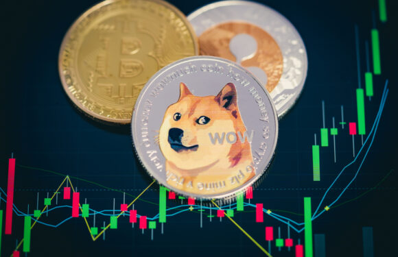 Crypto Market in Red: BTC, ETH, SHIB Lose 7% Each; DOGE Drops 5%