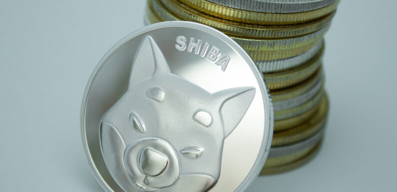 Crypto Payments Firm Flexa Adds Support For Shiba Inu