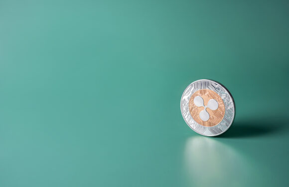 A Beginner’s Guide to Ripple