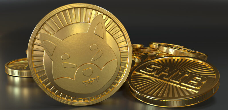 South African Cryptocurrency Exchange VALR Lists Shiba Inu