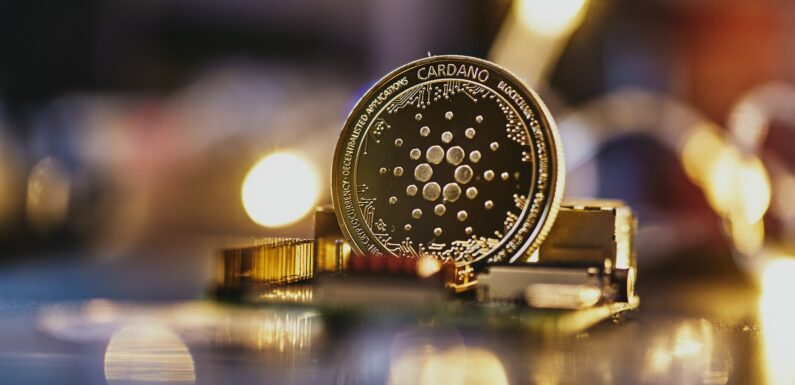 How to Buy Cardano? A Beginner’s Guide