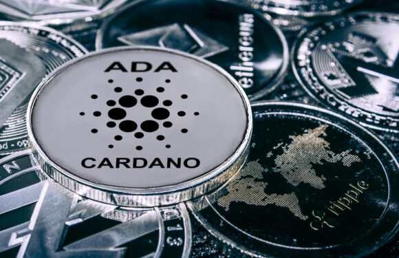 Here’s Why Cardano (ADA) Recoiled Overnight – Price Forecast