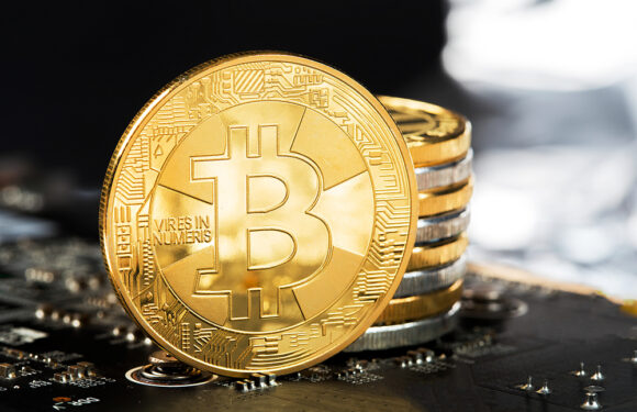 Amidst Global Crypto Market Downfall, Nayib Bukele Doubles Down On Bitcoin