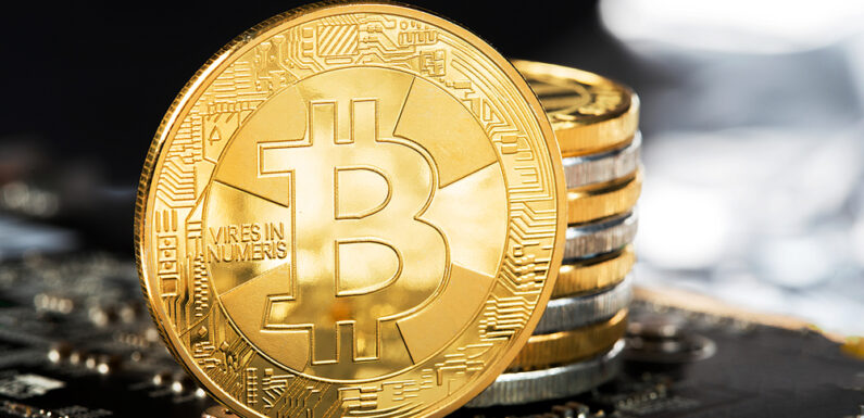Amidst Global Crypto Market Downfall, Nayib Bukele Doubles Down On Bitcoin