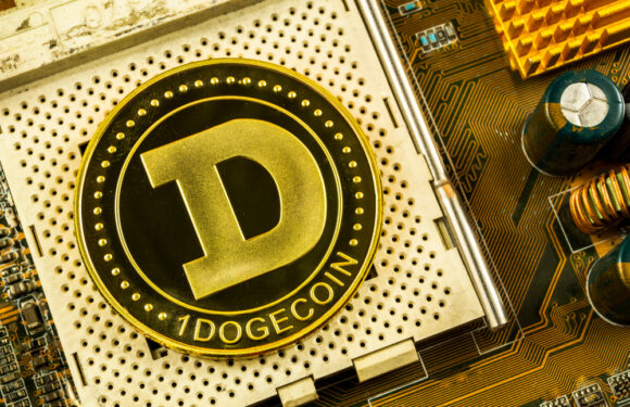 Dogecoin (DOGE) Buyers Fail to Avoid 14% Drop amid Dwindling Interest