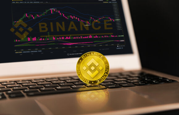 What is Binance Coin (BNB)?
