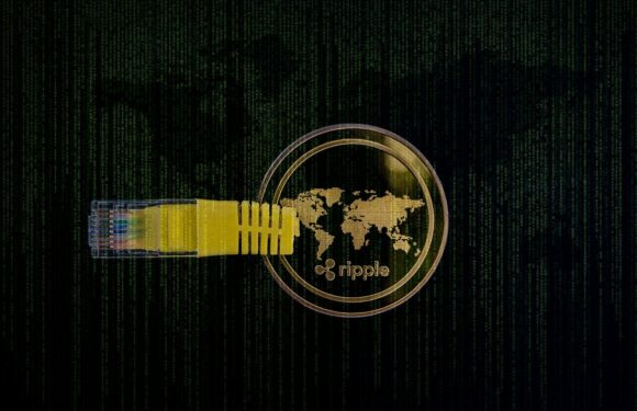 Ripple Claims XRP Is Not A Security As Owners Have No Contract Or Rights