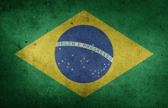 Mercado Bitcoin Targeted By Securities Regulator Of Brazil For Token Sale