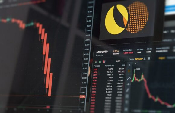 Terra Classic Experiences A 14% Surge, Efforts Of Binance Finally Pay Off