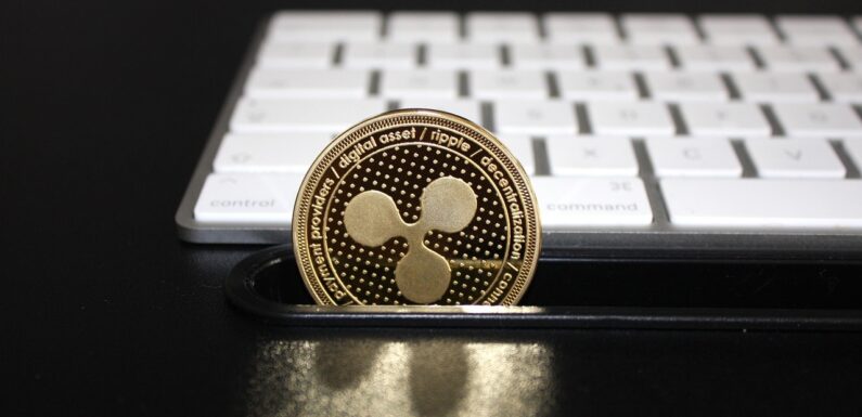 More Support Keeps Coming In Favor Of Ripple In Its Battle Against US SEC