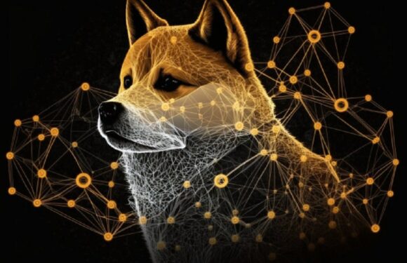 Dogecoin’s Decentralized Nature May Protect It From SEC Scrutiny, Board Member Says