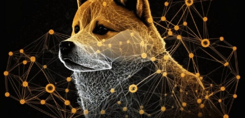 Dogecoin’s Decentralized Nature May Protect It From SEC Scrutiny, Board Member Says