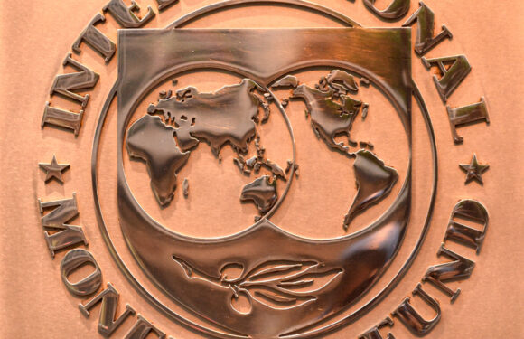 International Monetary Fund Officials Projects that Crypto Bans Might Fail to be Effective Long-Term Solution