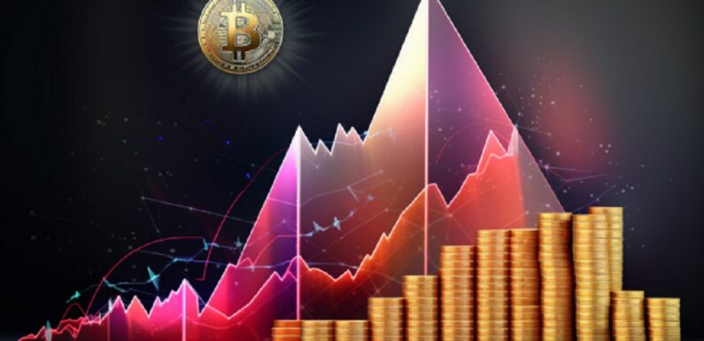 Data Shows Investors’ High Interest in Top Crypto assets