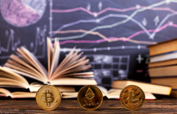 Blockchain Education Programs Gain Traction Amid Crypto Bull Market